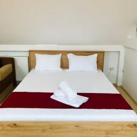 Joy City Unirii 41 2 * Τιμισοάρα