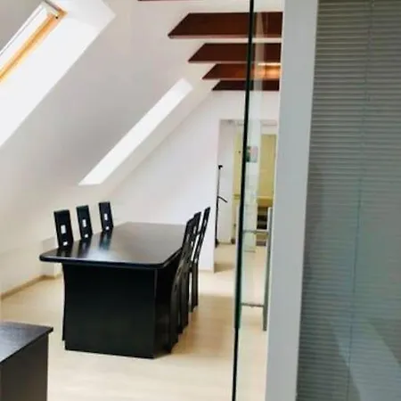 Joy City Unirii 41 2 * Τιμισοάρα