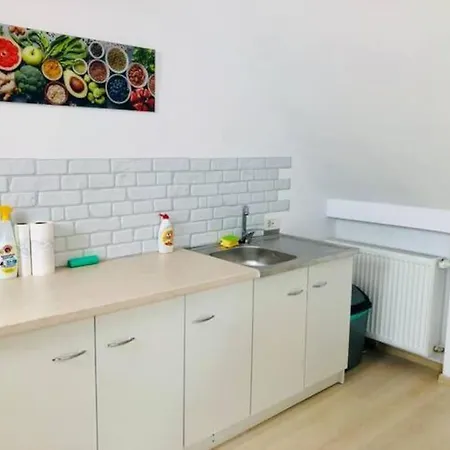 Joy City Unirii 41 2 Apartment Timisoara