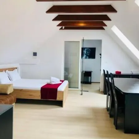 Apartment Joy City Unirii 41 2 Timisoara