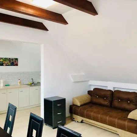 Joy City Unirii 41 2 * Timisoara