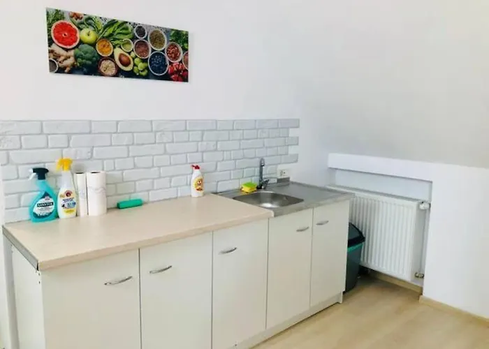 Joy City Unirii 41 2 Apartment Timişoara