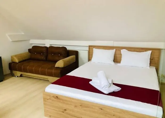 Joy City Unirii 41 2 Apartment Timişoara