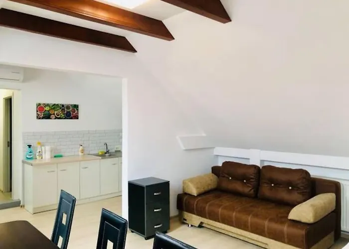 Joy City Unirii 41 2 * Timişoara