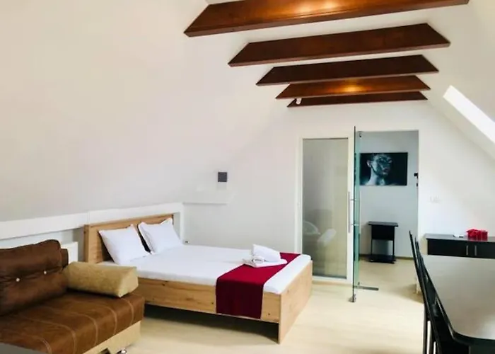 Apartment Joy City Unirii 41 2 Timişoara